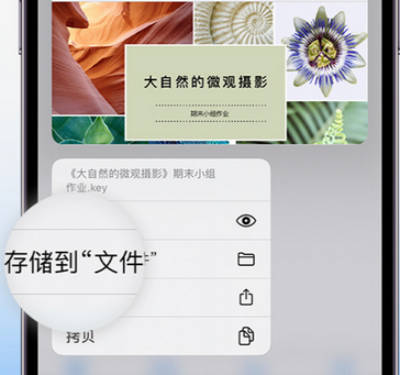 叶城apple维修中心分享iPhone文件应用中存储和找到下载文件