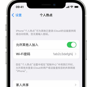 叶城apple服务站点分享iPhone上个人热点丢失了怎么办 