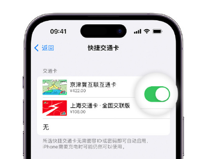 叶城apple维修点分享iPhone上更换Apple Pay快捷交通卡手绘卡面 