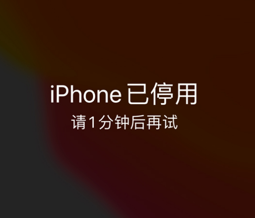 叶城苹果手机维修分享:iPhone 显示“不可用”或“已停用”怎么办？还能保留数据吗？ 