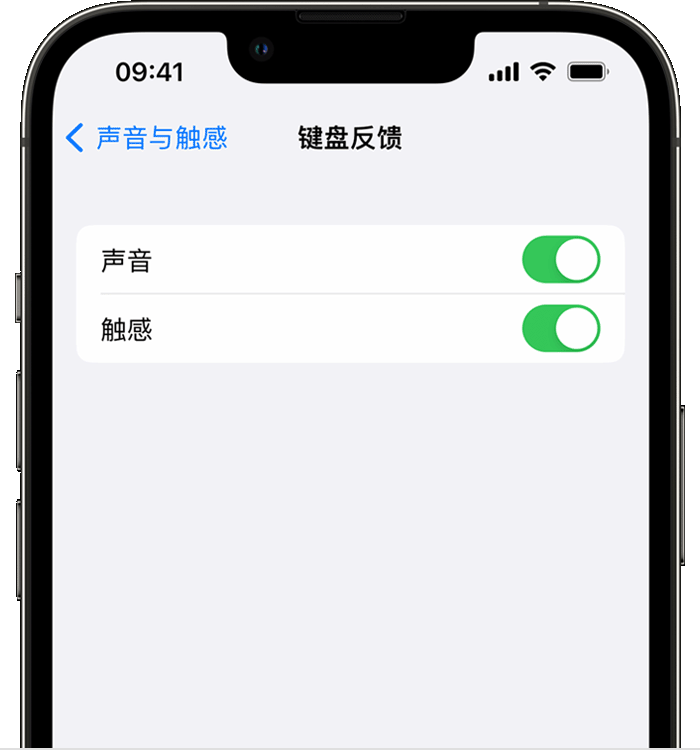 叶城苹果14维修店分享如何在 iPhone 14 机型中使用触感键盘 