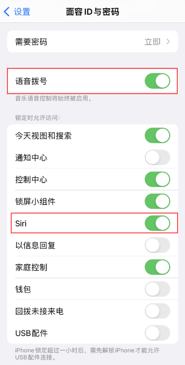 叶城苹果维修网点分享不解锁 iPhone 的情况下通过 Siri 拨打电话的方法 