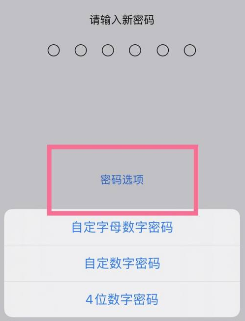 叶城苹果14维修分享iPhone 14plus设置密码的方法 