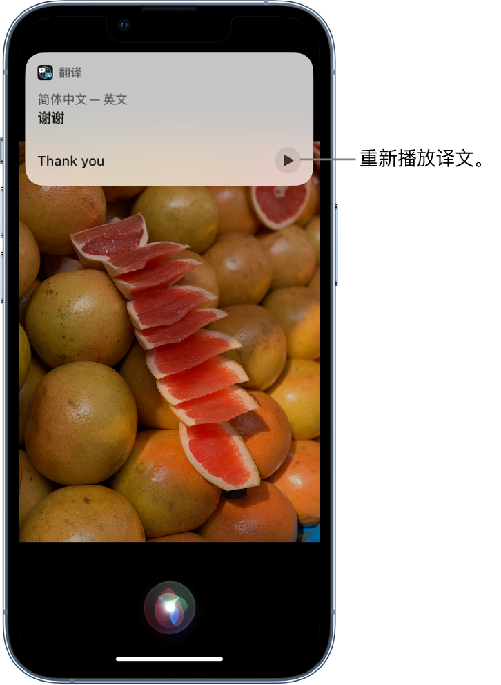 叶城苹果14维修分享 iPhone 14 机型中使用 Siri：了解 Siri 能帮你做什么 