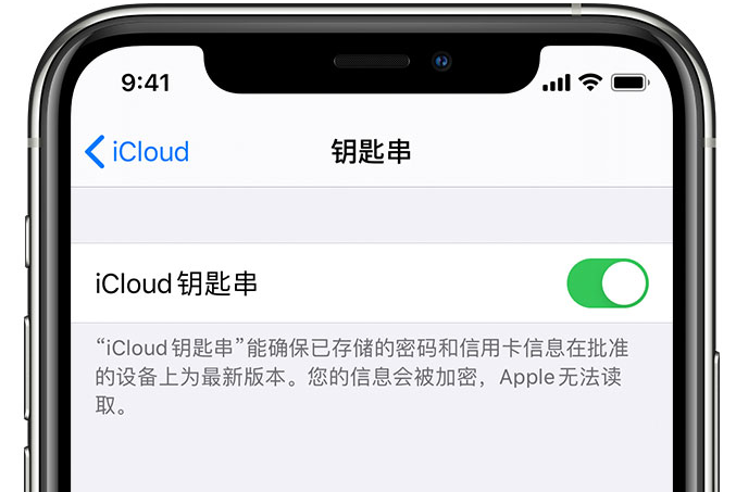 叶城苹果手机维修分享在 iPhone 上开启 iCloud 钥匙串之后会储存哪些信息 