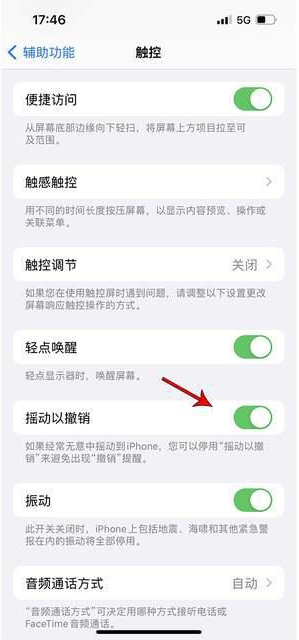 叶城苹果手机维修分享iPhone手机如何设置摇一摇删除文字 